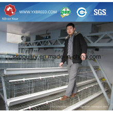 Chicken Farm Layer Cage